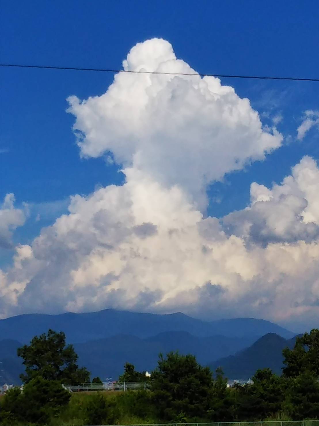 入道雲と 夏の暮らし ヘビも出現 シジュウカラも きのこみち